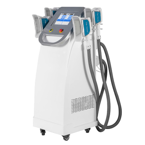 Máquina de congelação gorda do emagrecimento do corpo de 360 ​​Cryolipolysis