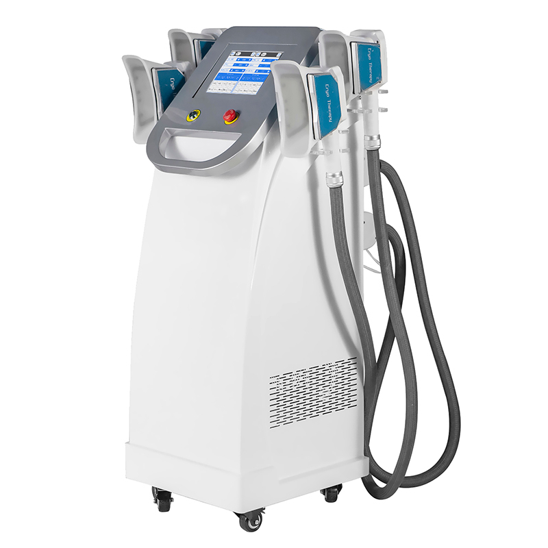 Máquina de congelação gorda do emagrecimento do corpo de 360 ​​Cryolipolysis