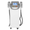 Máquina de congelação gorda do emagrecimento do corpo de 360 ​​Cryolipolysis