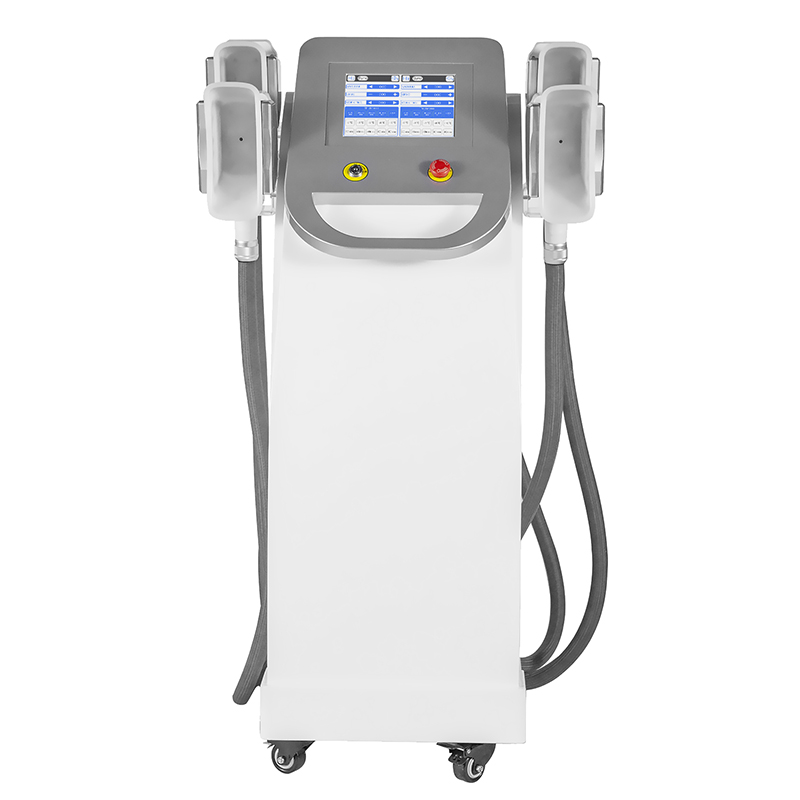 Máquina de congelação gorda do emagrecimento do corpo de 360 ​​Cryolipolysis