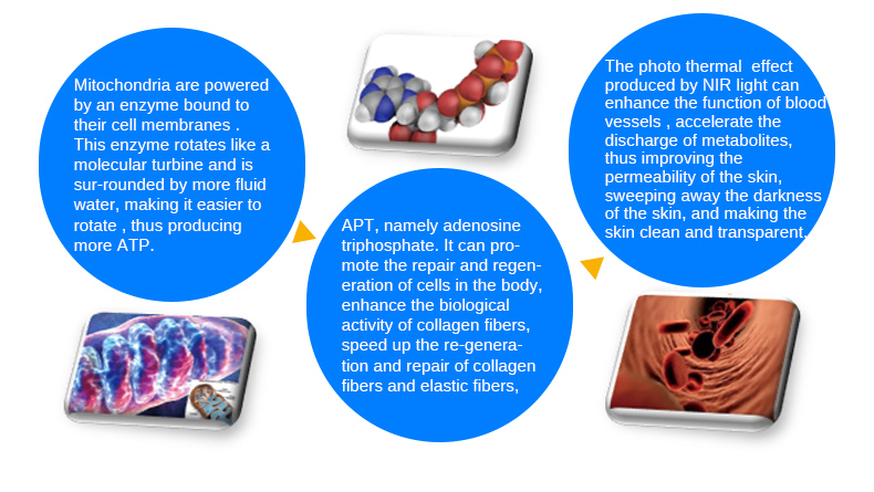M&aacute;quina de rejuvenescimento da pele