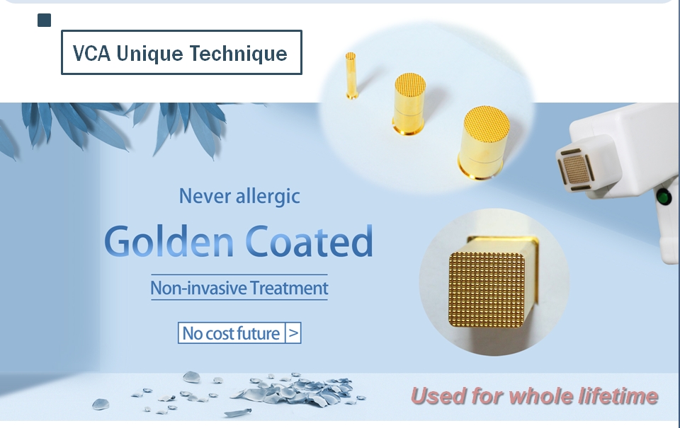 cabe&ccedil;a revestida de ouro