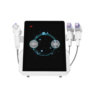 Máquina fracionária profissional do microneedling do RF do gelo Vmax para o aperto e o rejuvenescimento da pele